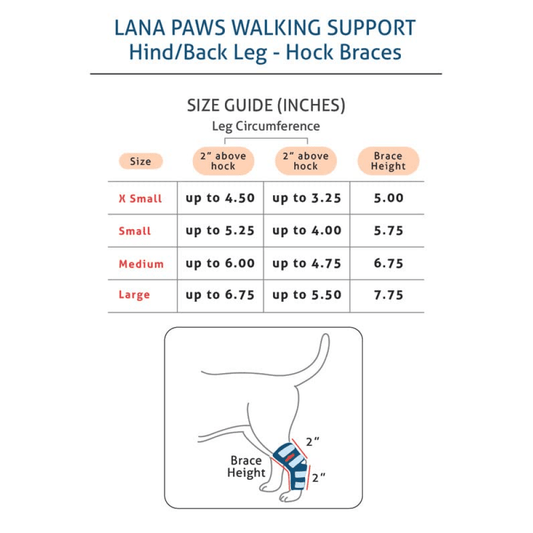 Lana Paws Back Leg Splint Braces for Hock Joint Ankle Support & Mobility for Dogs and Cats (Black)