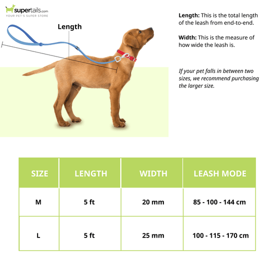 Furry & Co Weatherproof Leash for Dogs (Mango)