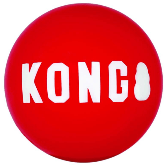 Kong Signature Ball Toy for Dogs