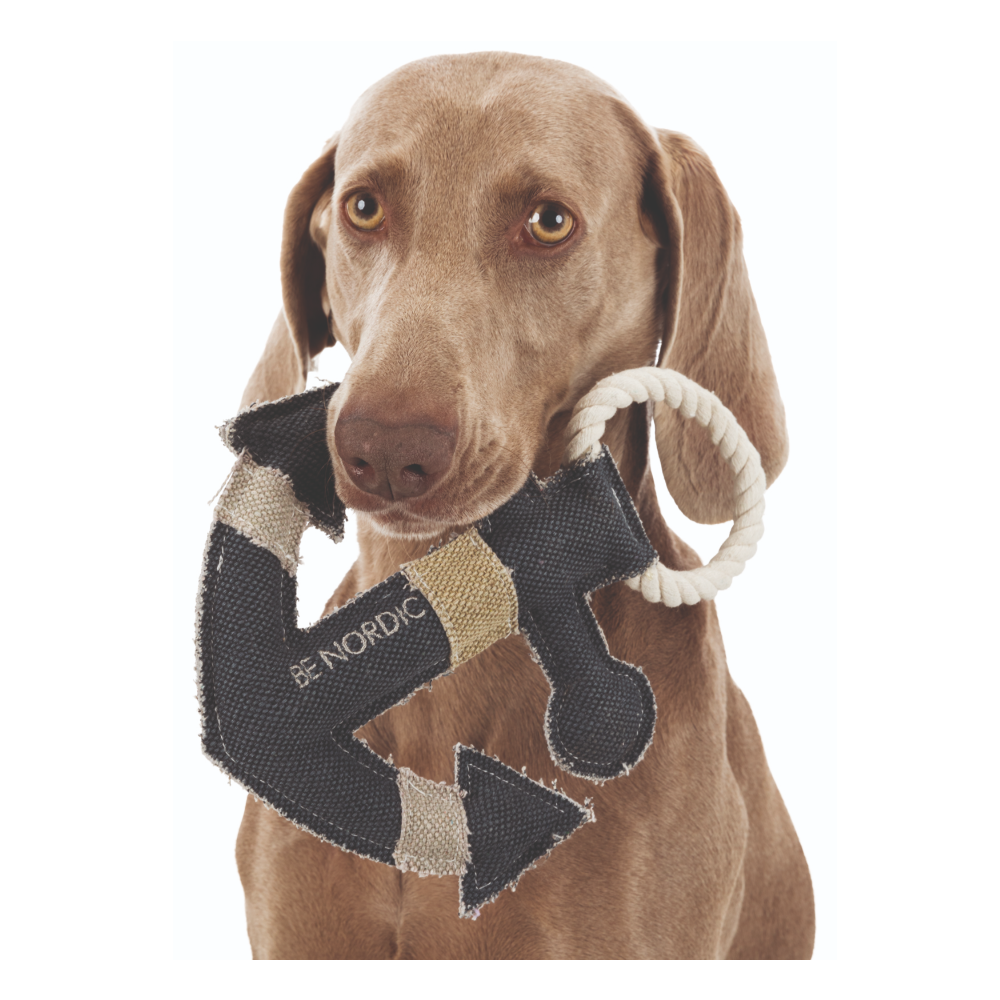 Trixie Be Nordic Anchor Toy for Dogs