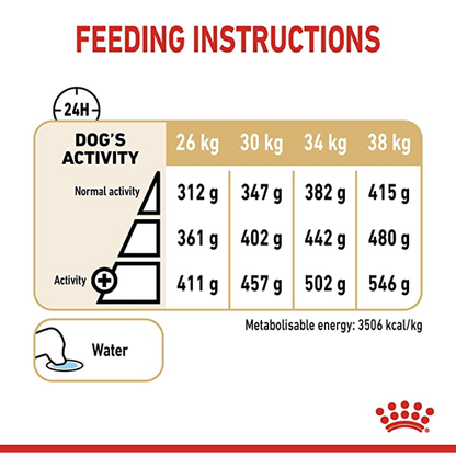 Royal Canin Labrador Adult 5+ Dog Dry Food