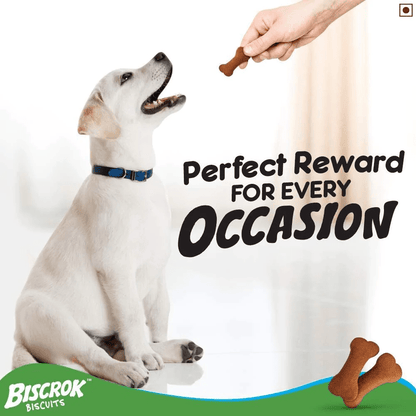 Pedigree Chicken Flavour Biscrok Biscuits Dog Treats