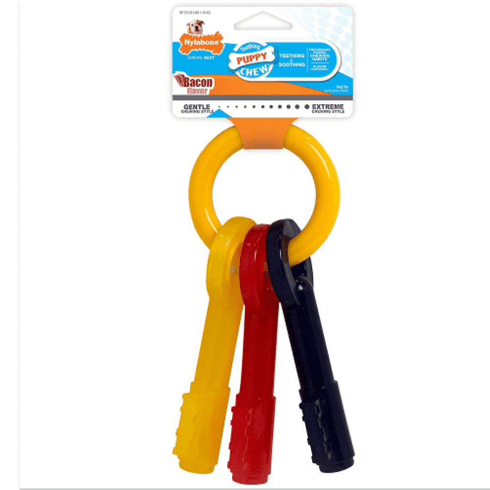 Nylabone Bacon Flavor Puppy Teething Keys Chew Toy for Dogs