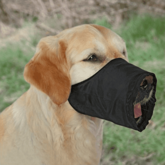 Trixie Nylon Muzzle for Dogs