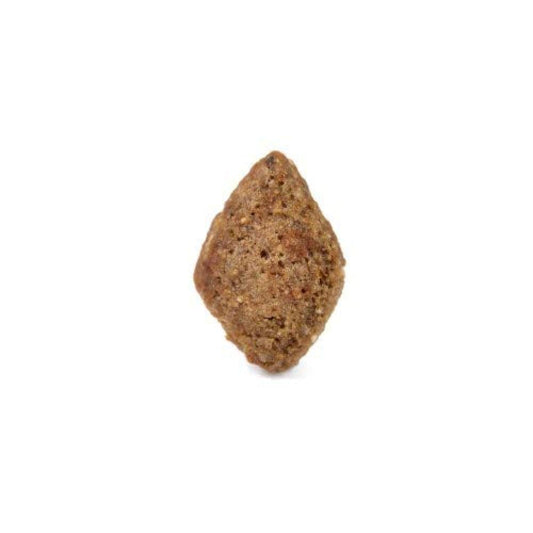 Arden Grange Adult Dog Dry Food | Salmon & Rice