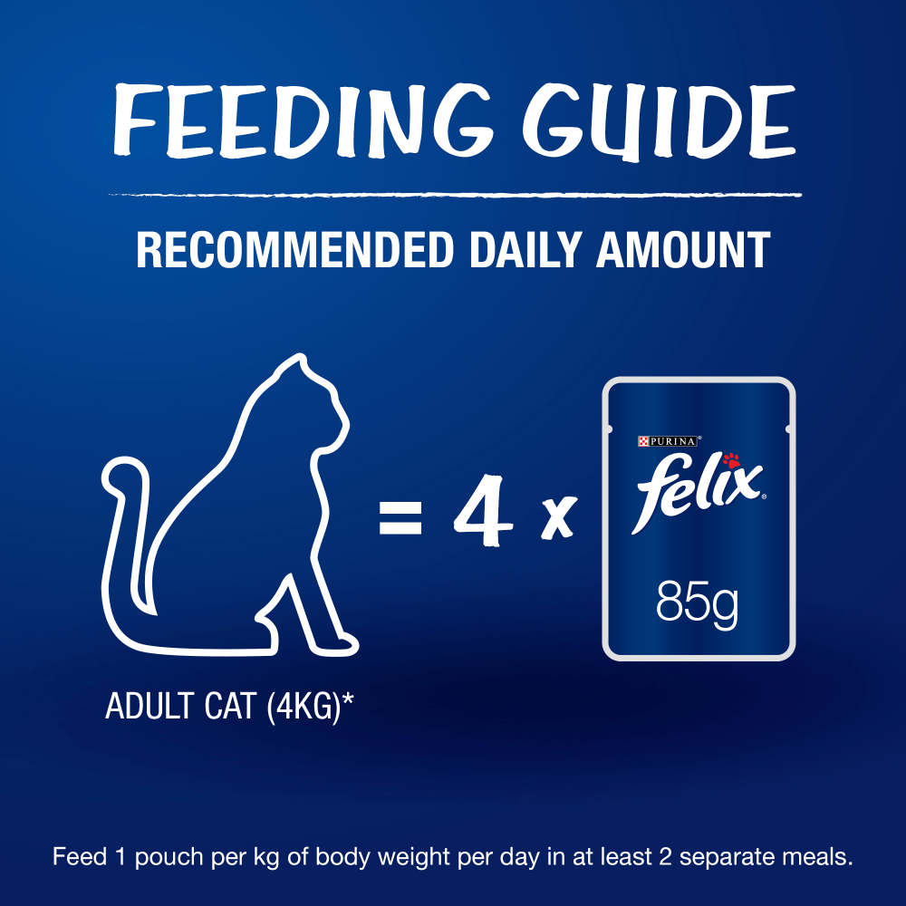 Me O Tuna & Sardine in Jelly Kitten and Purina Felix Chicken with Jelly Adult Cat Wet Food Combo (12+12)