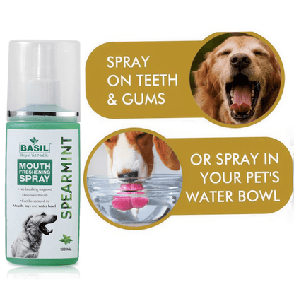 Basil Mouth Spray for Dogs (130ml)