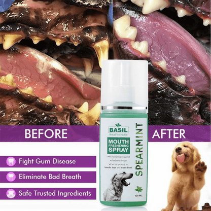 Basil Mouth Spray for Dogs (130ml)