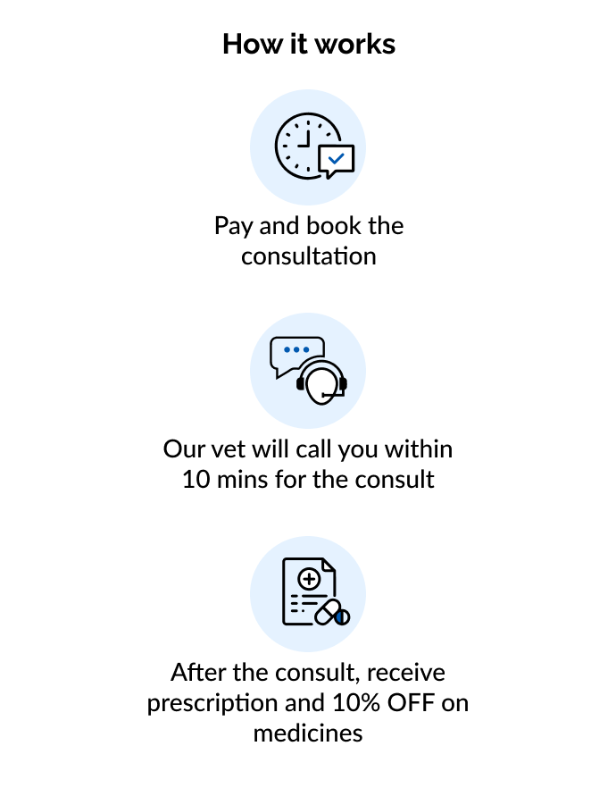 Instant Consultation (10 AM to 7 PM)