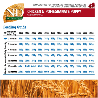 Farmina N&D Chicken & Pomegranate Ancestral Grain Puppy Medium Maxi Dog Dry Food