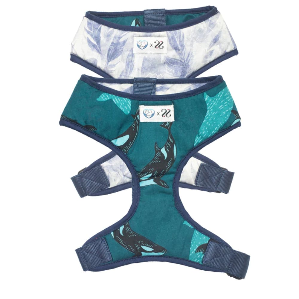 Pet And Parents Feather & Whale Reversible Harness for Dogs