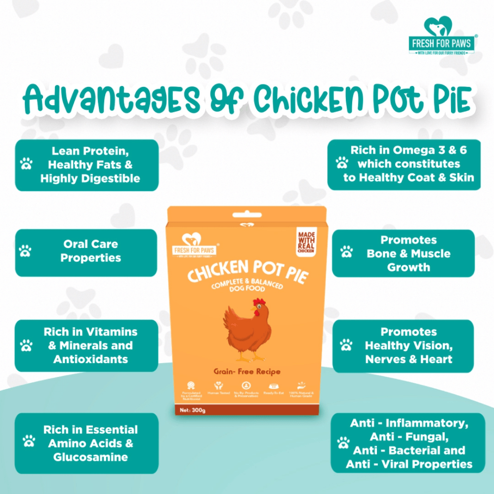 Fresh For Paws Chicken Pot Pie Wet Food for Cats and Dogs (100g)