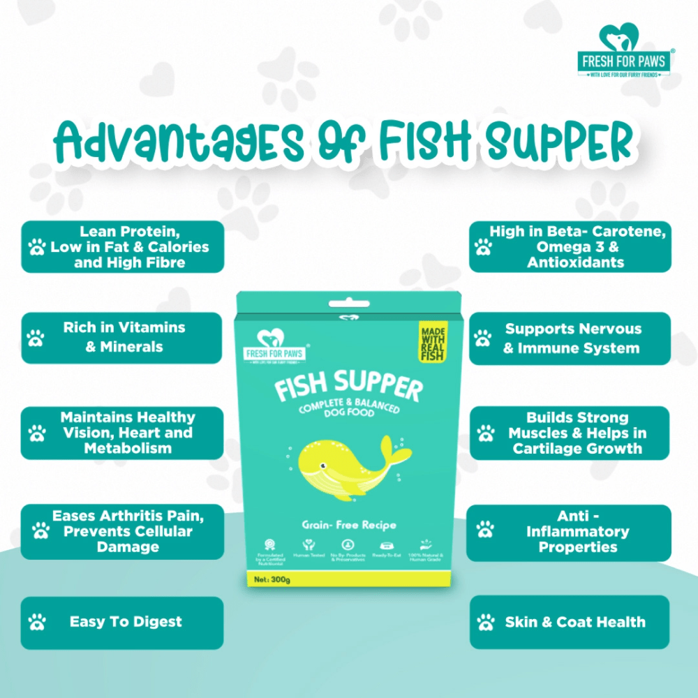 Fresh For Paws Fish Supper Dog Wet Food (100g)