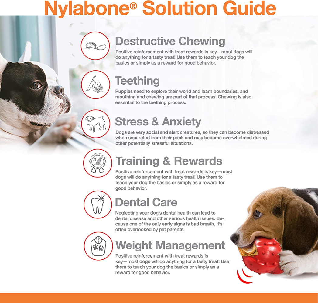Nylabone Braided Bully Stick Power Chew Alternative Toy for Dogs
