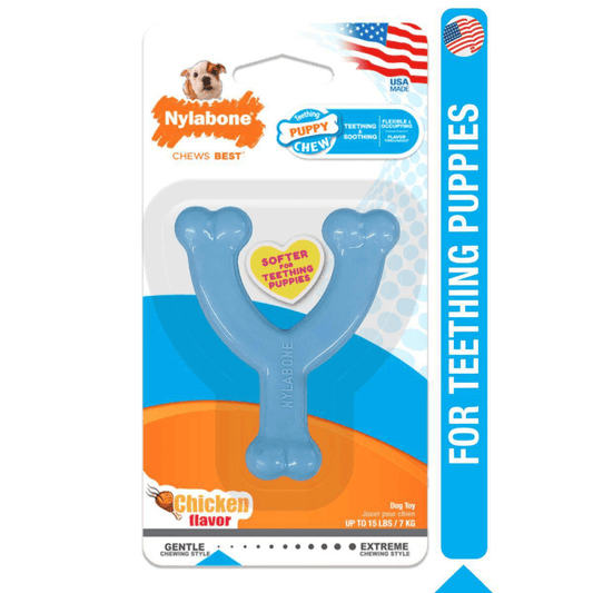 Nylabone Puppy Teething Chicken Flavoured Wish Bone Chew Toy for Dogs (Blue)
