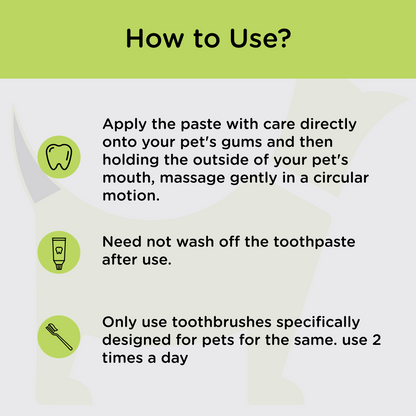 M Pets Toothpaste for Dogs (Mint)