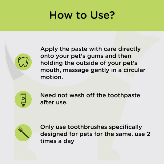 M Pets Toothpaste for Dogs (Mint)
