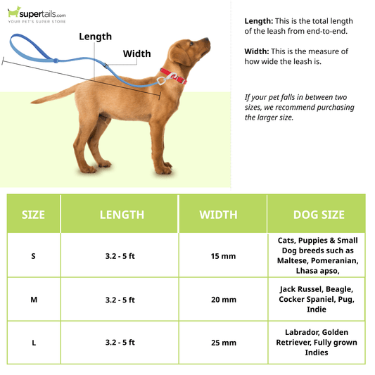 A Plus A Pets Leash in Pirate Design for Dogs