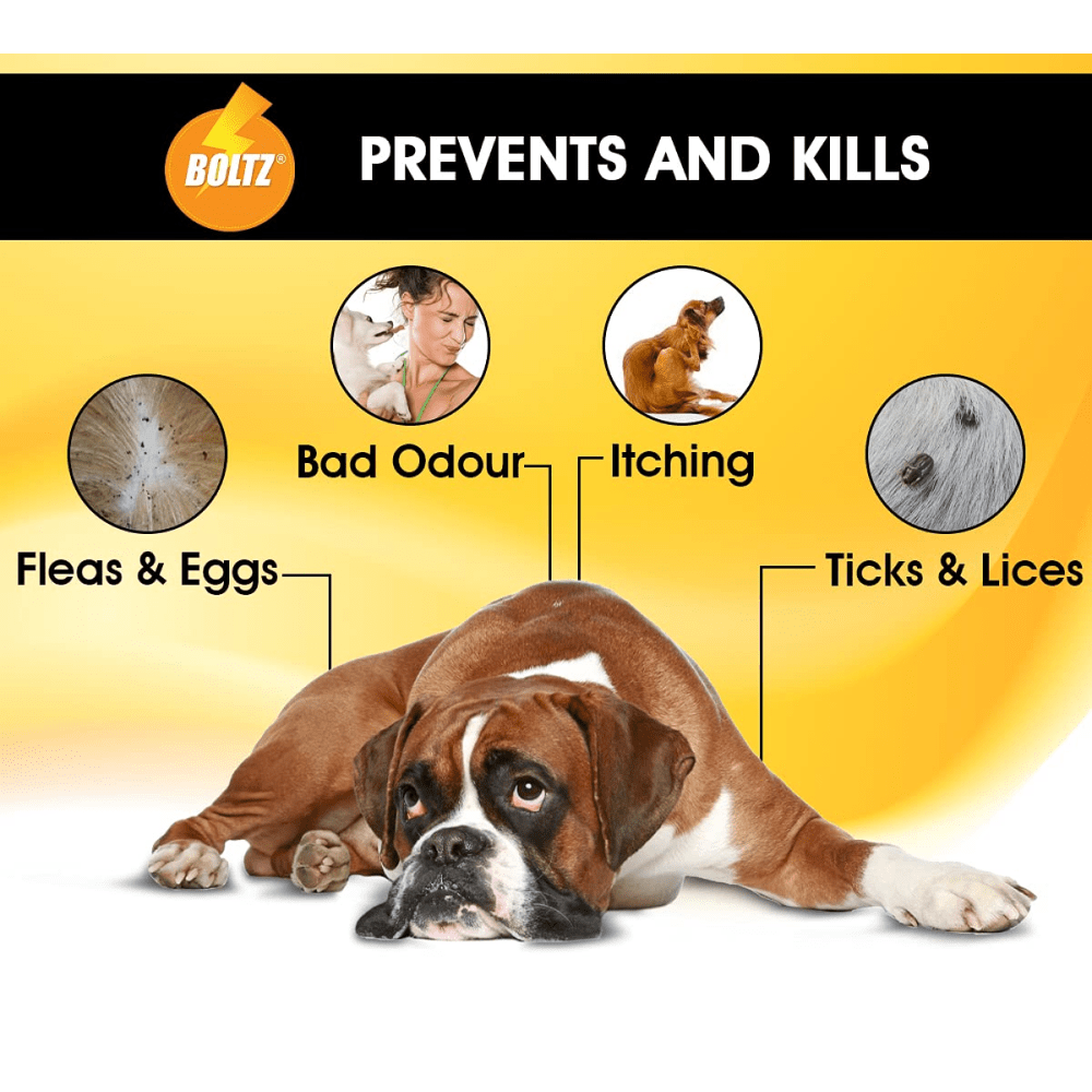 Boltz Anti Tick & Flea Shampoo with Brush for Dogs