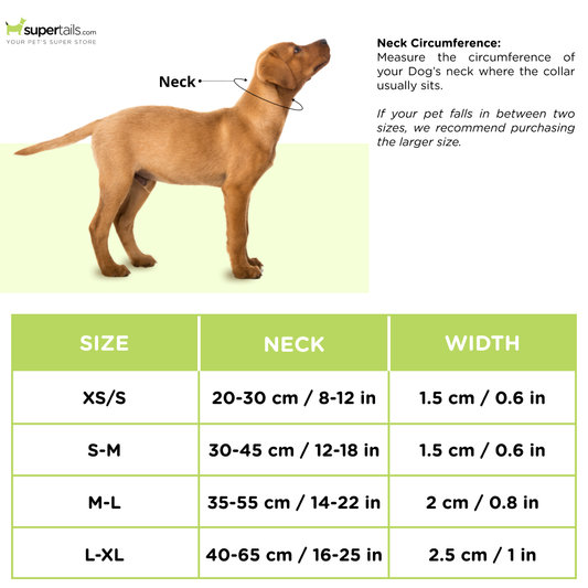 Trixie Softline Elegance Collar for Dogs (Ocean/Petrol)