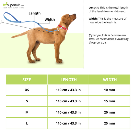 Truelove Royal Classic leash for Dogs (Blue  110cm)