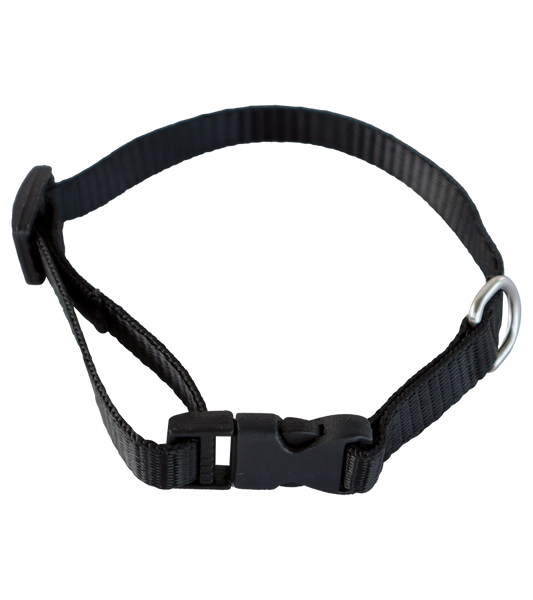 15MM Nylon  Adjustable Collar Belt with Bell For Small Dogs, Puppies and Cats