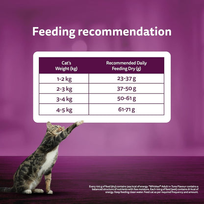 Whiskas Ocean Fish Adult 1+ years Cat Dry Food