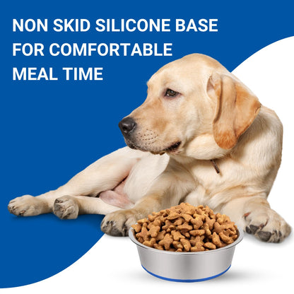 Rubber Base Stainless Steel Feeding Bowls for Dogs and Cats