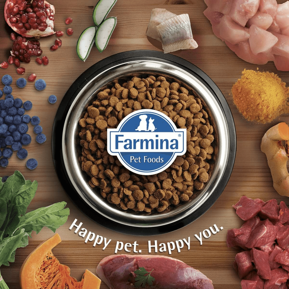 Farmina N&D Pumpkin Chicken & Pomegranate Medium Maxi Puppy Dry Food