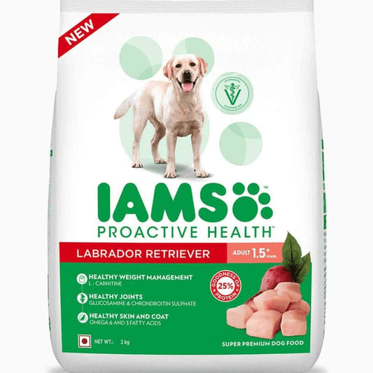 IAMS Adult Labrador Dog Dry Food (100g)