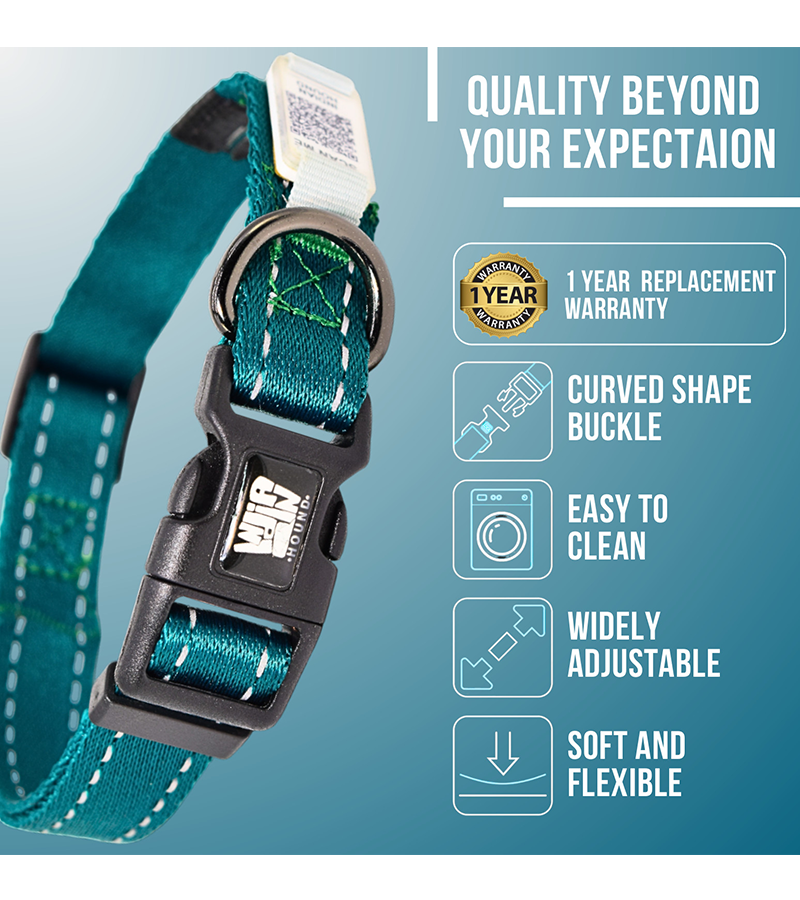 Indian Hound  Dog Collar with Personalized QR Tag