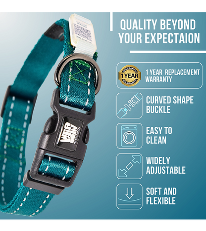 Indian Hound  Dog Collar with Personalized QR Tag