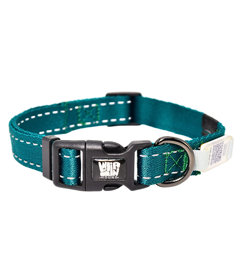 Indian Hound  Dog Collar with Personalized QR Tag