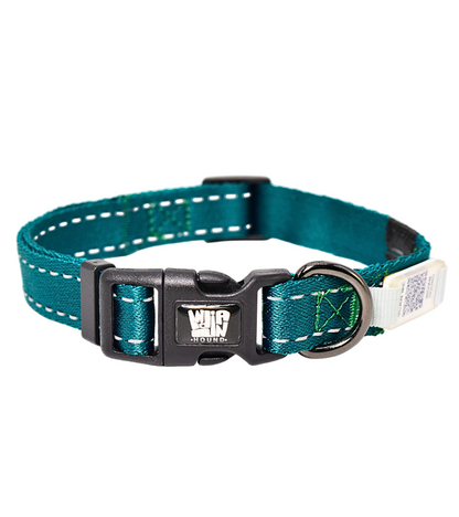 Indian Hound  Dog Collar with Personalized QR Tag
