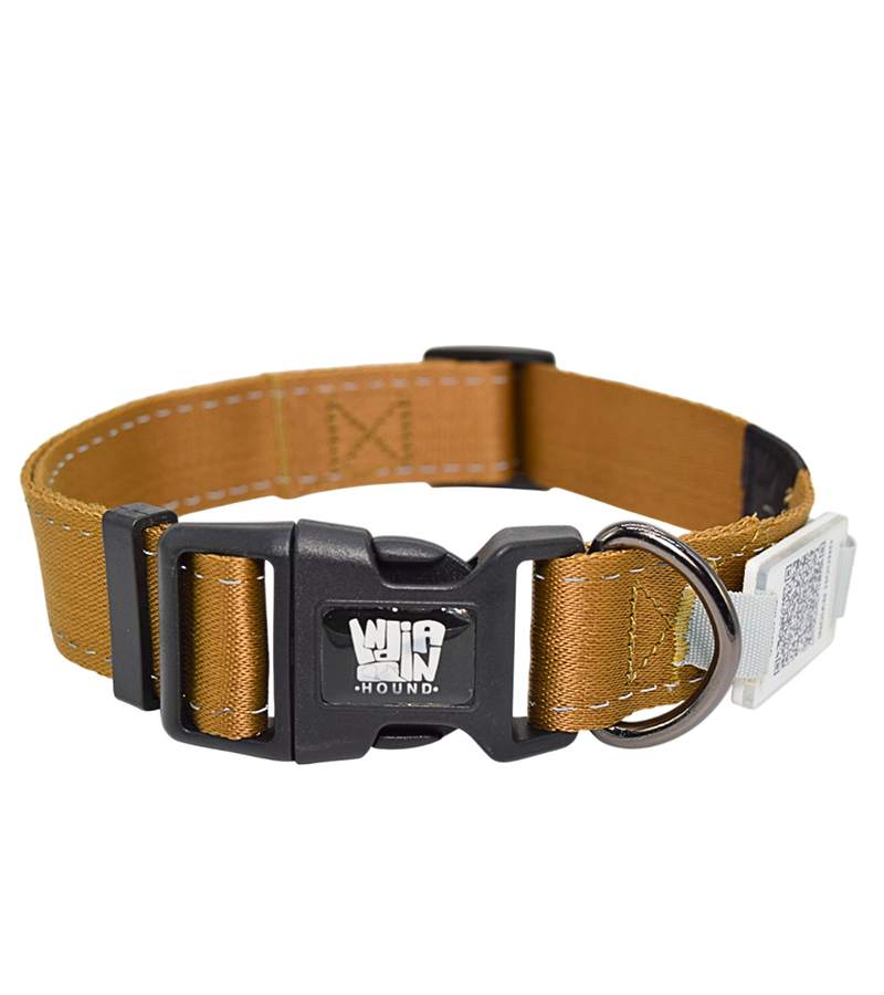 Indian Hound  Dog Collar with Personalized QR Tag
