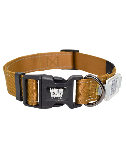 Indian Hound  Dog Collar with Personalized QR Tag