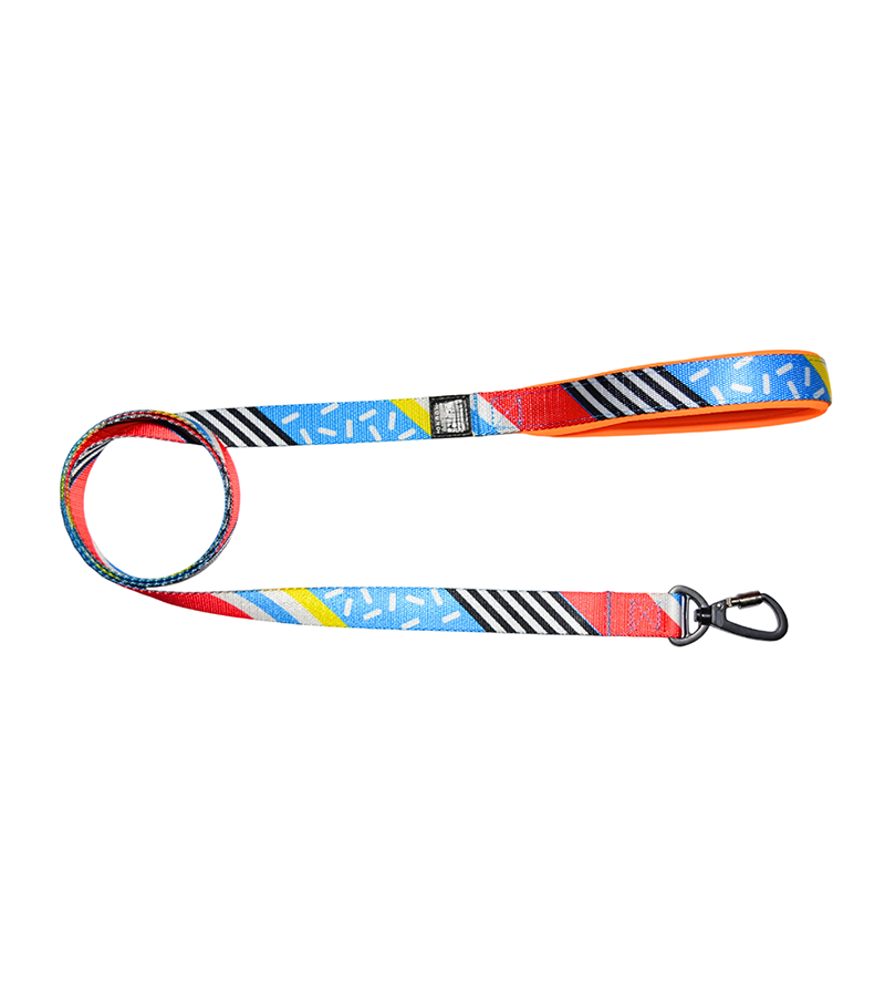 Indian Hound Nylon Printed Leash For Dogs