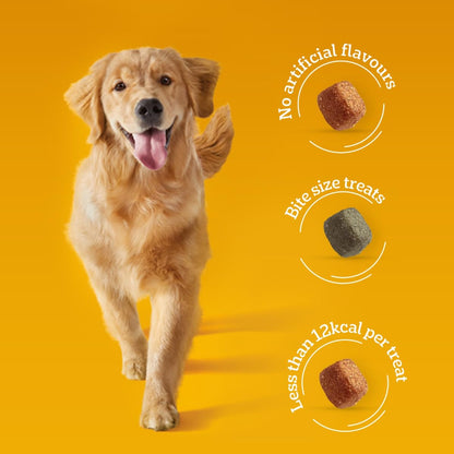 Pedigree Tasty Minis Adult Dog Treats, Chicken & Duck Flavour Chunks