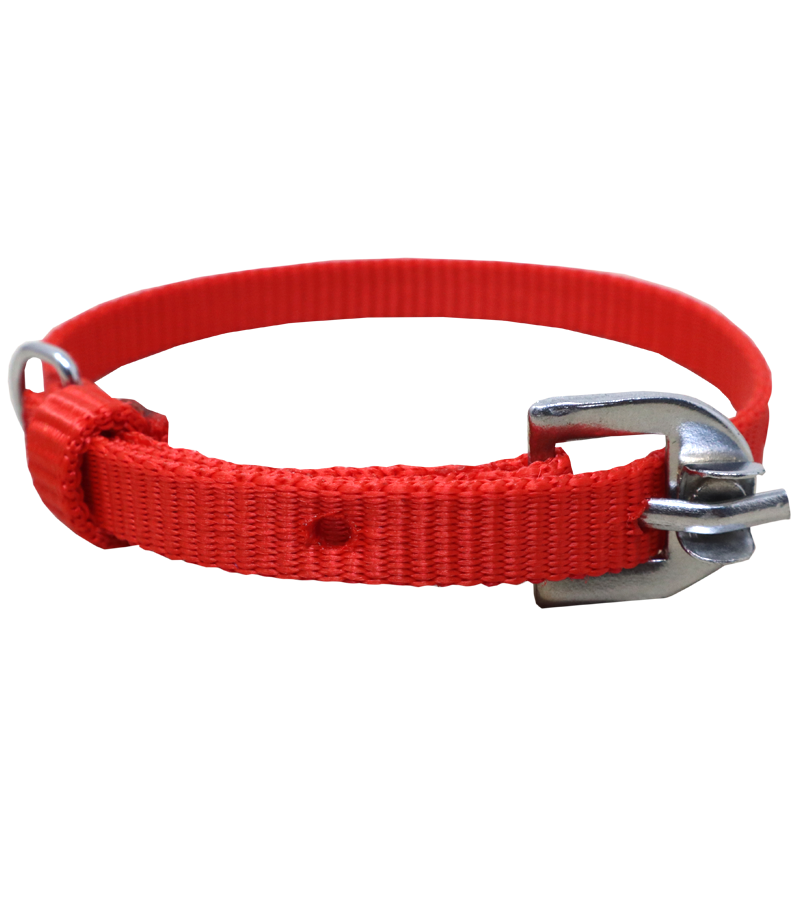 Ranch PP(Polypropylene) Collar For Dogs