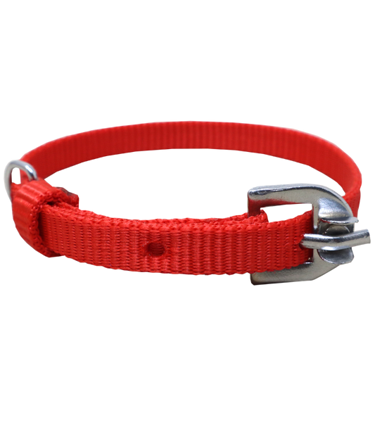 Ranch PP(Polypropylene) Collar For Dogs