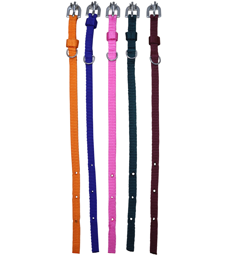 Ranch PP(Polypropylene) Collar For Dogs