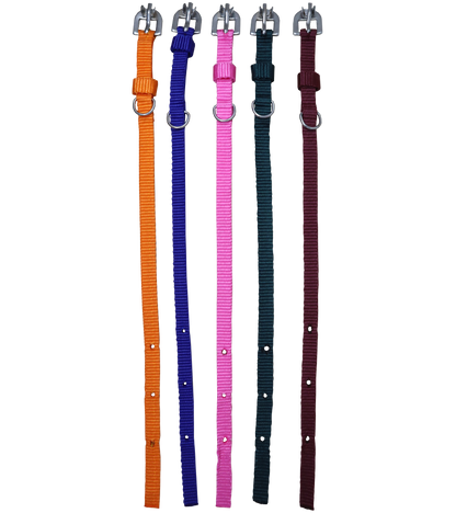 Ranch PP(Polypropylene) Collar For Dogs