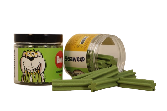 Ranch Dental Stix Dog Treats Seaweed Flavour Jar (220 gm)