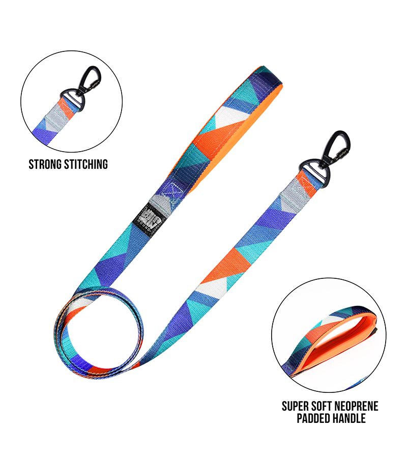 Indian Hound Nylon Printed Leash For Dogs