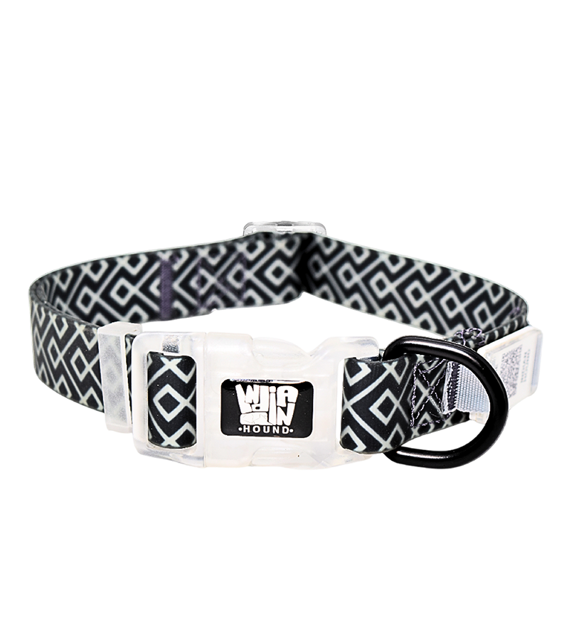 Indian Hound Premium Nylon Dog Collar with Personalized QR Tag