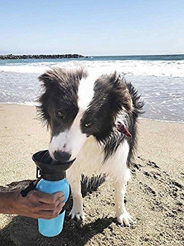 Portable Water Bottle Aqua for Dogs (500ml)