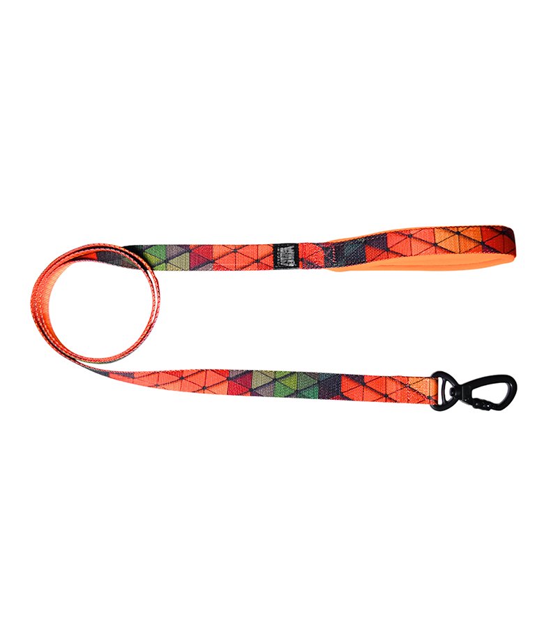 Indian Hound Nylon Printed Leash For Dogs