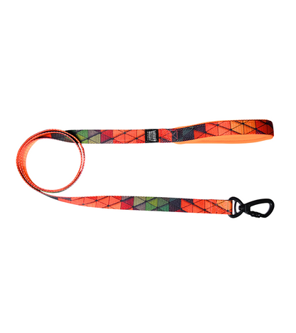 Indian Hound Nylon Printed Leash For Dogs