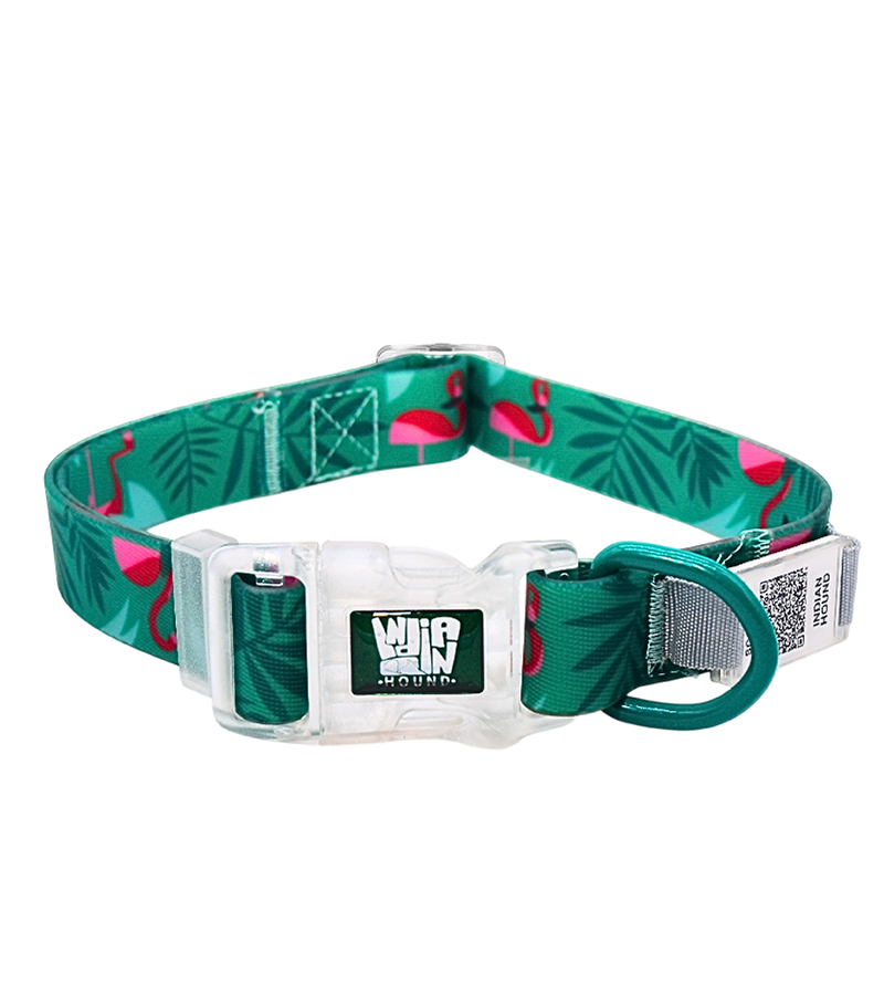Indian Hound Premium Nylon Dog Collar with Personalized QR Tag