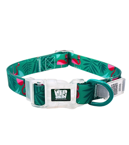 Indian Hound Premium Nylon Dog Collar with Personalized QR Tag